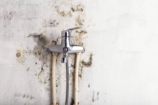Best Mold Testing  in New Boston, OH