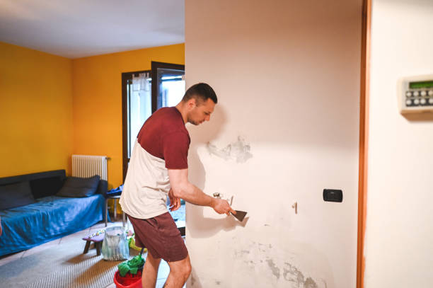 Best Crawl Space Mold Removal  in New Boston, OH